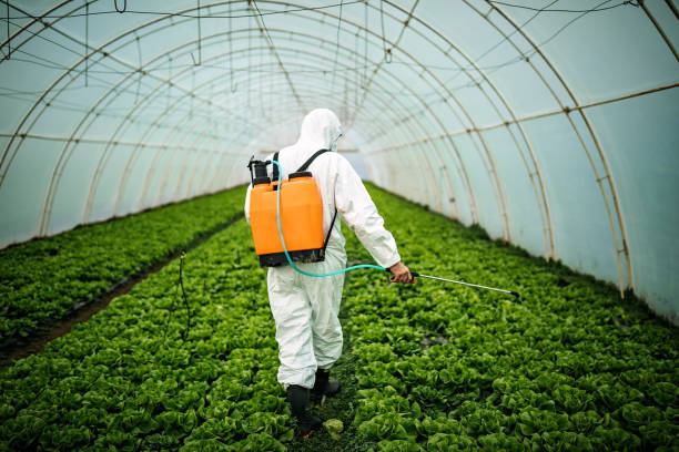 Best Pest Removal Services  in Cold Spring, NY