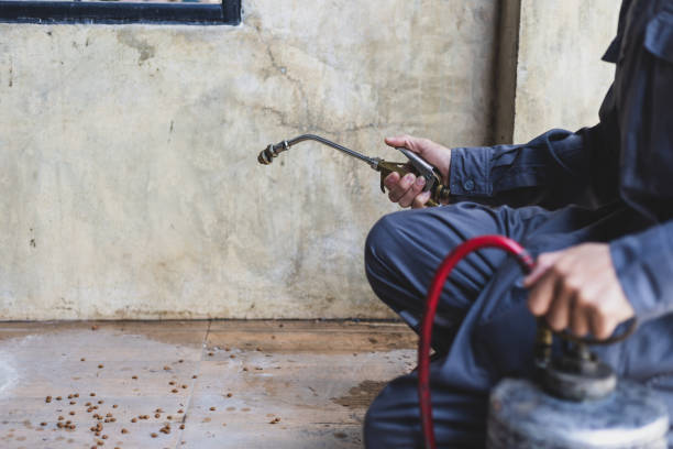 Best Commercial Pest Control Services  in Cold Spring, NY